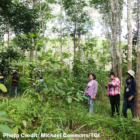 image of 3 people standing in a jungle